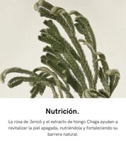 ABIB | Crema Jericho Rose Crème Nutrition Tube – 75 ml - Haru Skin Haru Skin