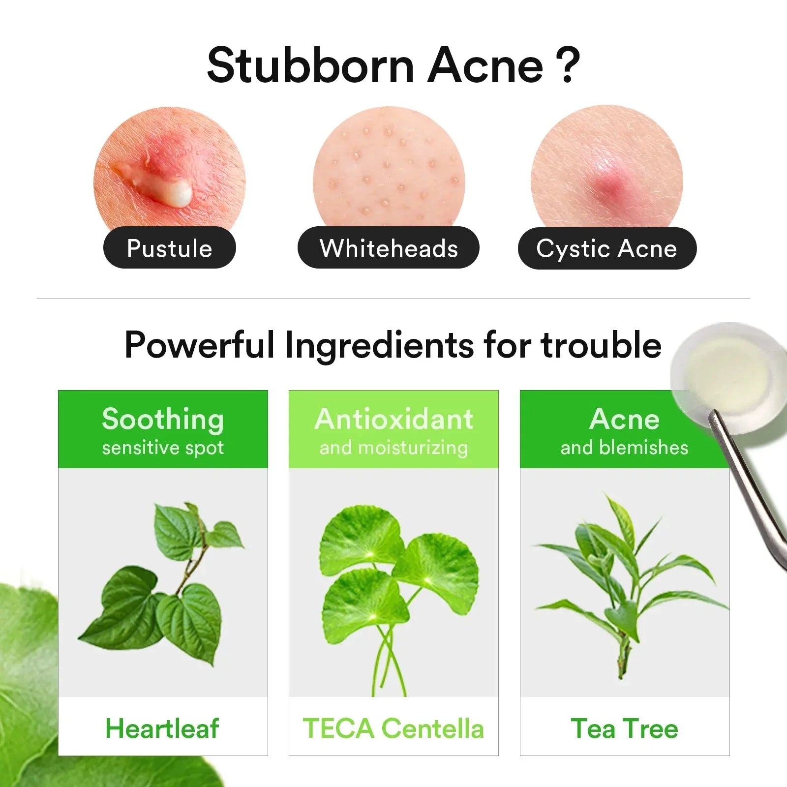 ABIB | Parches. Heartleaf Calming Spot Patch - 78 pcs - Haru Skin Haru Skin