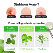 ABIB | Parches. Heartleaf Calming Spot Patch - 78 pcs - Haru Skin Haru Skin