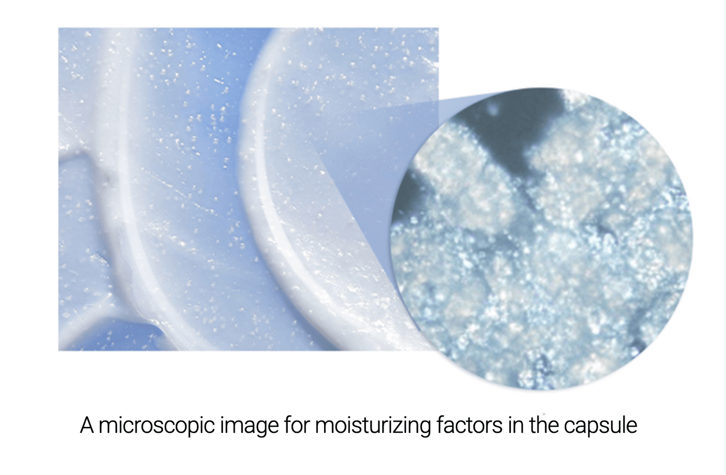 AESTURA | Crema. Atobarrier 365 Cream - 80ml - Haru Skin Haru Skin
