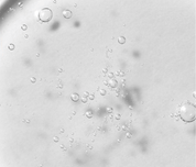 MEDICUBE | Gel. PDRN Booster Gel – 300ml - Haru Skin Haru Skin