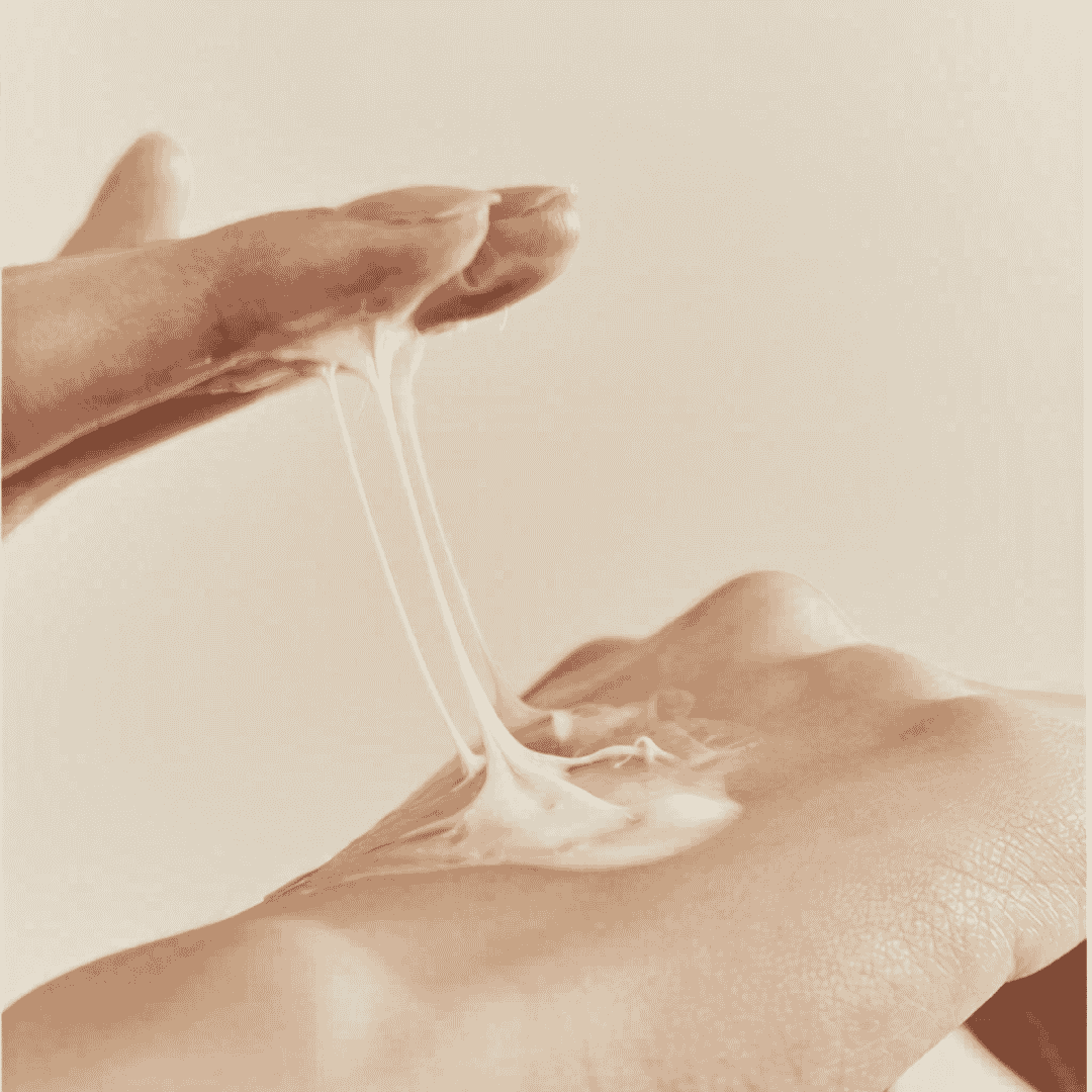 productos_22_491e47c0-8ce7-4b69-85d5-84e9caf996ca.png