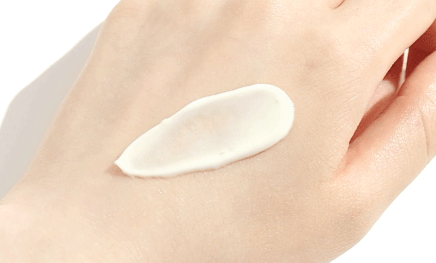 ROUND LAB | Protector Solar. Birch Juice Moisturizing Sun Cream – 50ml - Haru Skin Haru Skin